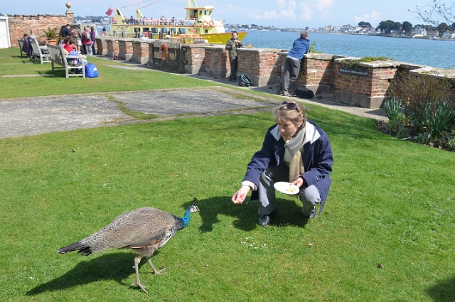 13 04 12_9456_edited-1.jpg - CATHERINE - BROWNSEA ISLAND & POOLE HARBOUR, DORSET